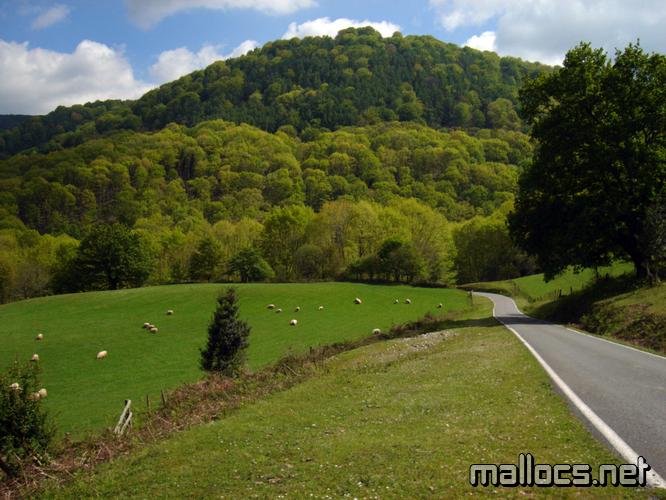 Euskadiko Berde - Basque Country Green